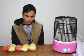 Khởi tố vụ án vận chuyển gần 1kg ma túy từ Trung Quốc về Việt Nam