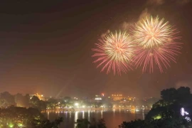 Hà Nội kêu gọi kinh phí xã hội hóa điểm bắn pháo hoa ở bãi giữa