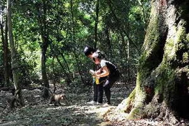 Du khách vui đùa với thú hoang dã ở khu du lịch sinh thái Đầm Long, Ba Vì. (Nguồn: TTXVN)