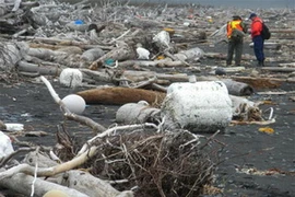 Xốp trắng và phao đen trải dài hàng chục cây số trên bờ biển đảo Monague, Alaska. (Ảnh: GulfofAlaskaKeeper)