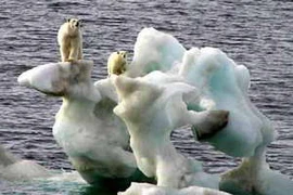 Băng tan mạnh ở Bắc Cực. (Ảnh: Thelivingmoon.com)