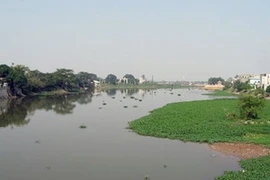 Ảnh minh họa. (Nguồn: Internet)