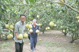 Ảnh minh họa.