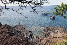 Kỳ quan Ghềnh Đá Đĩa ở Phú Yên. (Ảnh: Thanh Tùng/TTXVN)