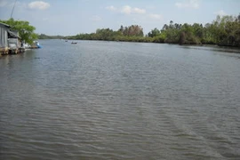 Sông Trẹm - Cà Mau. (Nguồn: Internet)