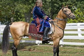 Giống ngựa nòi Akhal Teke thuần chủng. (Nguồn: baotintuc.vn)
