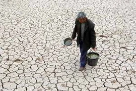 Ảnh minh họa. (Nguồn: THX/TTXVN)