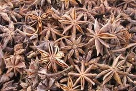 Hoa hồi Lạng Sơn. (Nguồn: Internet)