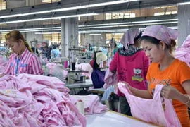 (Ảnh: Xuân Khu/Vietnam+)