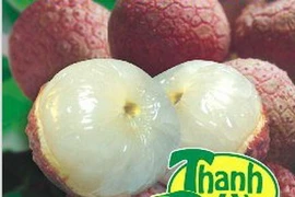 Vải thiều Thanh Hà. (Nguồn: Internet)