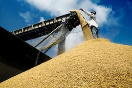 Tác phẩm "Xuất kho" của tác giả Lý Hồng Vân đoạt giải Nhì cuộc thi ảnh "Hàng Việt qua ống kính vạn hoa."