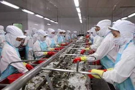 Chế biến tôm đông lạnh xuất khẩu. (Nguồn: TTXVN)