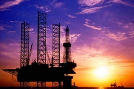 Ảnh minh họa. (Nguồn: Internet)