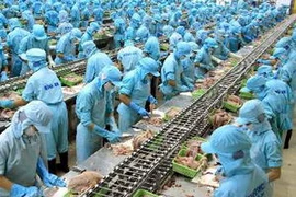 Chế biến cá basa xuất khẩu tại Công ty thủy sản Bình An (Cần Thơ). (Ảnh: Duy Khương/TTXVN)