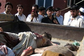 Lực lượng an ninh Pakistan tiêu diệt phiến quân trong chiến dịch quân sự ở Lower Dir. (Nguồn: AFP/TTXVN)