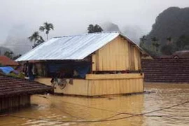 Một mô hình nhà nổi tránh lũ. Ảnh minh họa. (Nguồn: TTXVN)