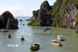 Di sản Thiên nhiên Thế giới Vịnh Hạ Long mang những giá trị đặc biệt, thắng cảnh thiên nhiên có một không hai trên thế giới. (Nguồn: TTXVN)