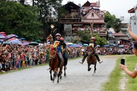 Vận động viên (nài ngựa) Tráng A Giờ (huyện Bát Xát) xuất sắc về nhất giành ngôi Vô địch. (Ảnh: Quốc Khánh/TTXVN)