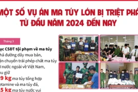 Một số vụ án ma túy lớn bị triệt phá từ đầu năm 2024 đến nay