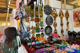 Các sản phẩm của Việt Nam. (Ảnh: Trung Khánh/TTXVN)