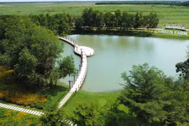 Vinamilk Green Farm - Mô hình trang trại bò sữa phát triển bền vững