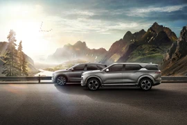 VinFast tiên phong ứng dụng blockchain vào đặt hàng sớm. (Ảnh: Vietnam+)