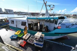 Kazakhstan nhấn mạnh tầm quan trọng của việc đạt được những kết quả đa phương có ý nghĩa trong các vấn đề như an ninh lương thực và đánh bắt cá. (Ảnh: AFP/TTXVN)