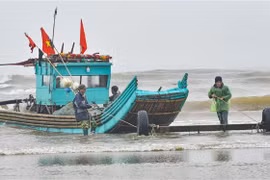 Ảnh minh họa. (Ảnh: Khiếu Tư/TTXVN)