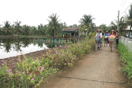 Đồng bằng sông Cửu Long có nhiều cơ hội phát triển nhưng cũng phải đối mặt với nhiều thách thức do đây là vùng đất mẫn cảm với sự thay đổi của tự nhiên. (Ảnh: Thanh Hòa/TTXVN)