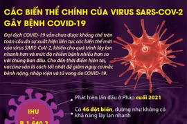 Các biến thể chính của virus SARS-CoV-2 gây bệnh COVID-19