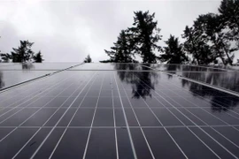 Tổng thống Mexico đã nhiều lần khẳng định quan điểm cứng rắn trong cuộc tranh cãi với Mỹ về vấn đề chính sách năng lượng. (Ảnh: The Canadian Press/TTXVN)