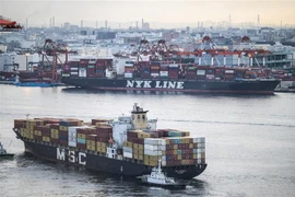 Ảnh minh họa. (Ảnh: AFP/TTXVN)