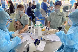 Ảnh minh họa. (Ảnh: Huyền Trang/TTXVN)
