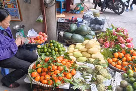 Một quầy bán hoa quả tại chợ Trại Găng, quận Hai Bà Trưng (Hà Nội) rất vắng khách. (Ảnh: Phương Anh/TTXVN)