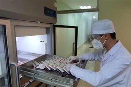 Ảnh minh họa. (Ảnh: Thu Hiền/TTXVN)