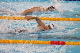 Ảnh minh họa. (Phạm Kiên/TTXVN)