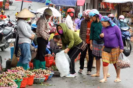 (Ảnh: Quốc Khánh/TTXVN)