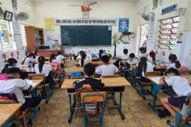 Ảnh minh họa. (Ảnh: Ánh Tuyết/TTXVN)