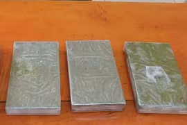 Ảnh minh họa. (Ảnh: TTXVN phát)