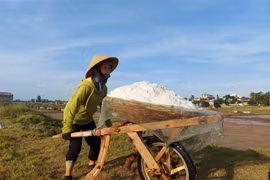 Ảnh minh họa. (Ảnh: Bích Huệ/TTXVN)