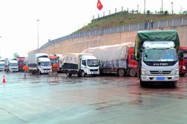 Năm 2021, tăng trưởng kinh tế của Quảng Ninh duy trì ở mức hai con số, đạt 10,28% - đứng thứ hai cả nước, sau Hải Phòng. (Ảnh: TTXVN phát)