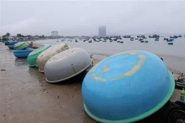 Đêm 29 và ngày 30/3, vùng biển từ Bình Định đến Cà Mau, khu vực giữa và Nam Biển Đông có mưa rào và dông. (Ảnh: Nguyễn Thành/TTXVN)