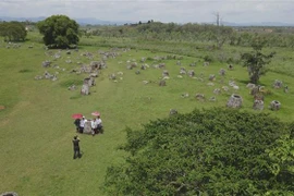 Cánh đồng Chum Xiengkhouang (Lào). (Ảnh: Bá Thành/TTXVN)