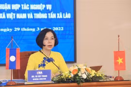 Tổng Giám đốc Thông tấn xã Việt Nam Vũ Việt Trang phát biểu tại buổi hội đàm. (Ảnh: Tuấn Anh/TTXVN)