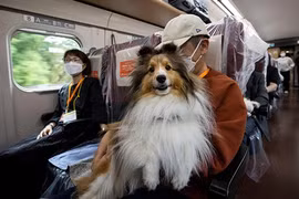 (Ảnh: ndtv.com)