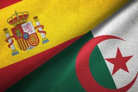 Ảnh minh họa. (Nguồn: english.alarabiya.net)