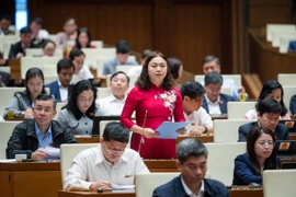 Hôm nay, Quốc hội thảo luận về công tác phòng, chống tội phạm và vi phạm pháp luật. (Ảnh minh họa: CTV/Vietnamm+)