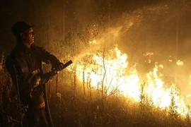 Nhân viên cứu hỏa phun nước dập đám cháy rừng gần làng Murmino, ngày 5/8. (Ảnh: AFP/TTXVN)