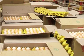 Ảnh minh họa. (Nguồn: TTXVN)