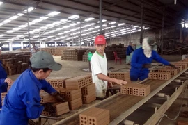 Sản xuất gạch tuynel tại Hợp tác xã dịch vụ nông nghiệp, kinh doanh tổng hợp Đại Hiệp, huyện Đại Lộc, tỉnh Quảng Nam. (Ảnh: Đỗ Trưởng/TTXVN)